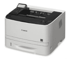 251 DW
