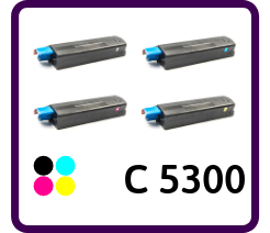 C5300