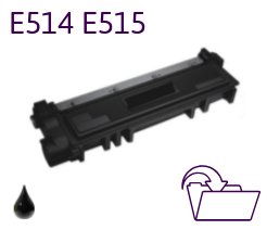 E310