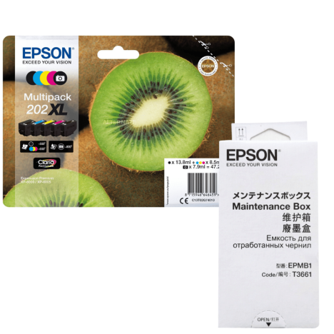 Epson oryginalny tusz 202XL C13T02G74010 + oryginalny pojemnik na zużyty tusz C13T366100 5-pak