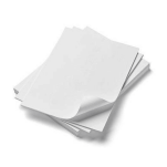 Epson oryginalny papier 10x 15cm 183g/m2 50 arkuszy GLOSSY Photo Paper C13S400038 - 2